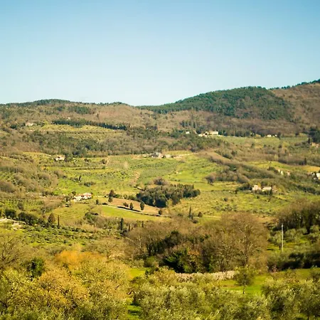 Il Trufolo * Pratolino