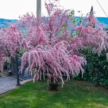 Villa Il Trufolo *