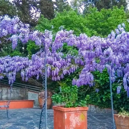 Villa Il Trufolo *